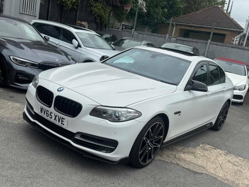BMW 5 Series 2.0 520D Se Euro 6 Ss White #2