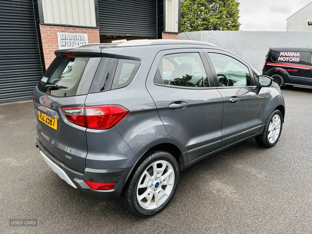 Ford Ecosport 1.0 Ecoboost Titanium Grey #3