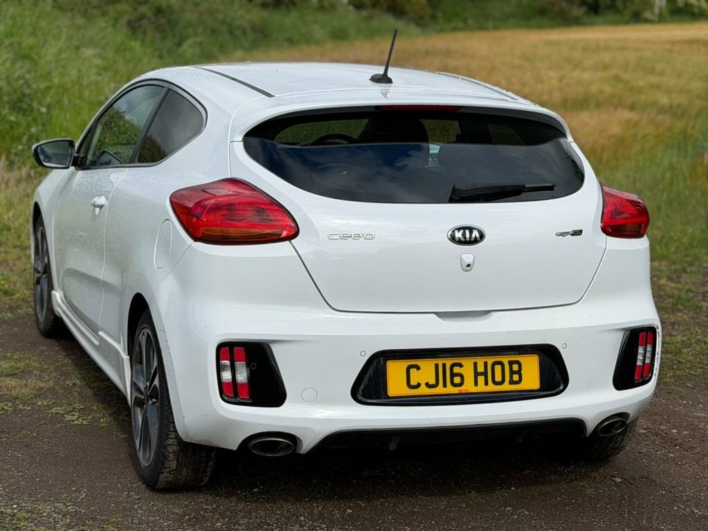 Kia Proceed 1L Gt-line White #3