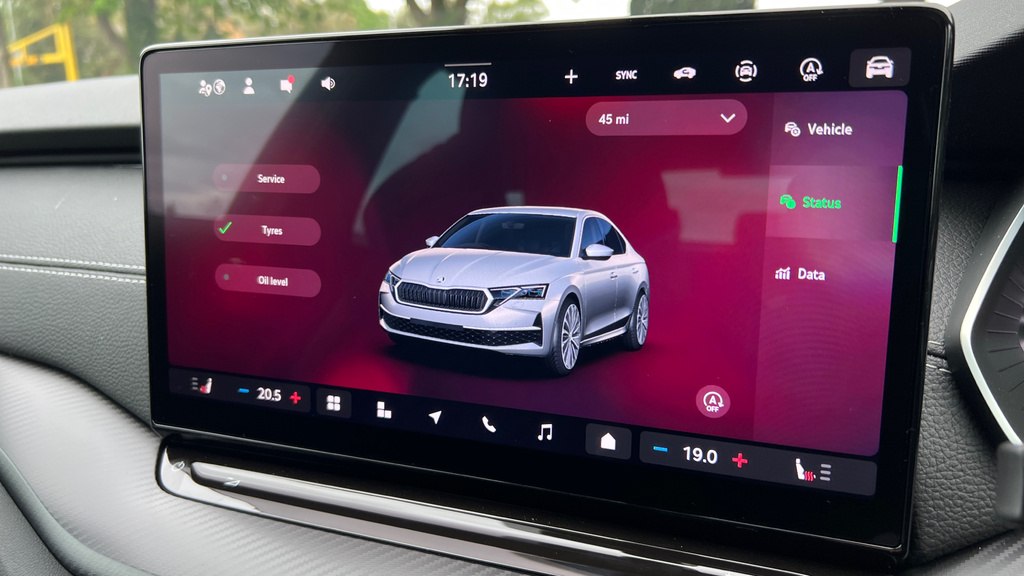 Skoda Octavia 2.0 Tsi Vrs Dsg Purple #23