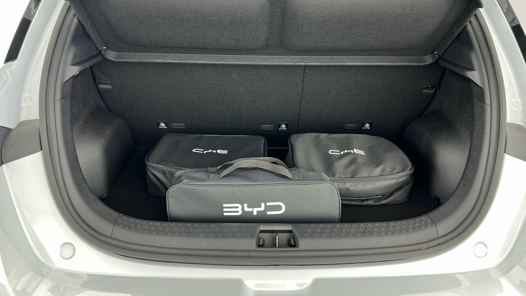 Byd Dolphin Active Blue #14
