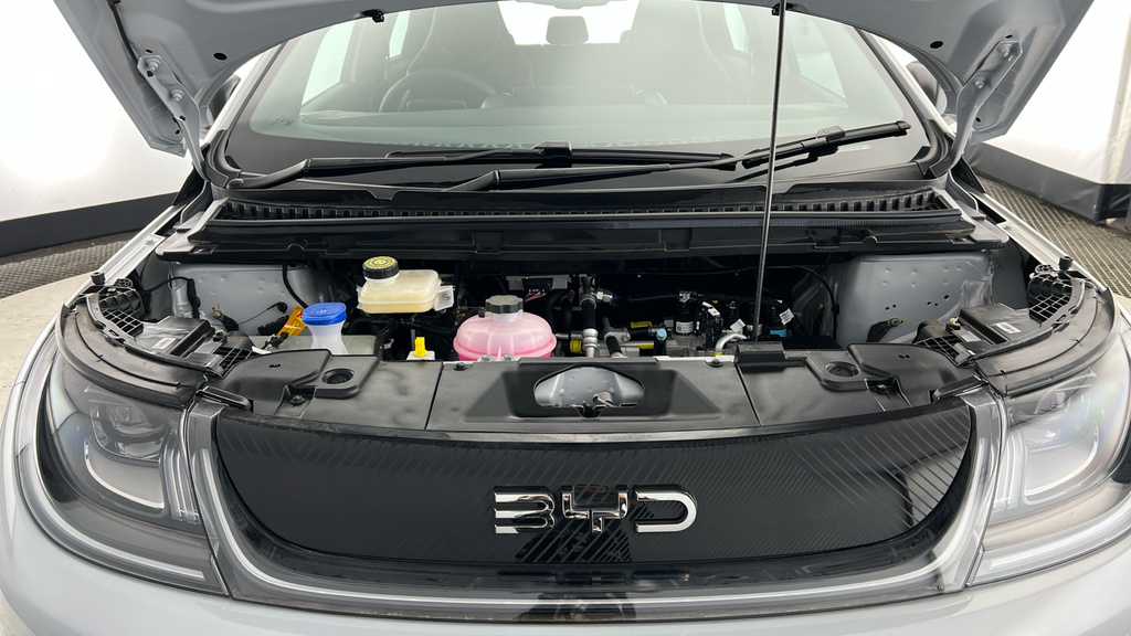 Byd Dolphin Active Blue #21