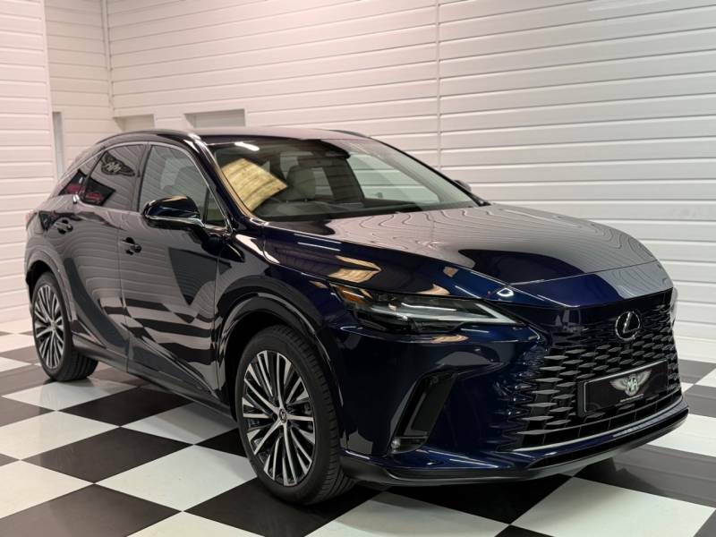 Lexus RX 450H 2.5 E-cvt Premium Plus Pack - 2023 73 Blue