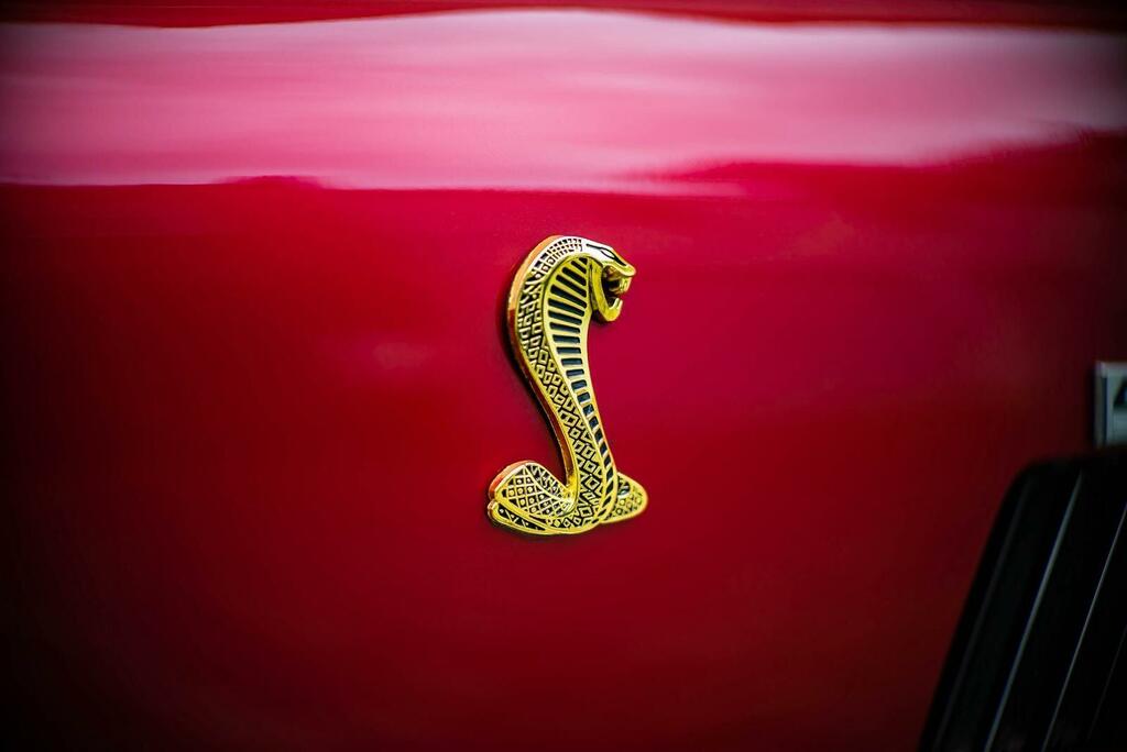 AC Cobra Mk IV   #6