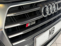 Audi SQ5 3.0 Sq5 Tdi #40