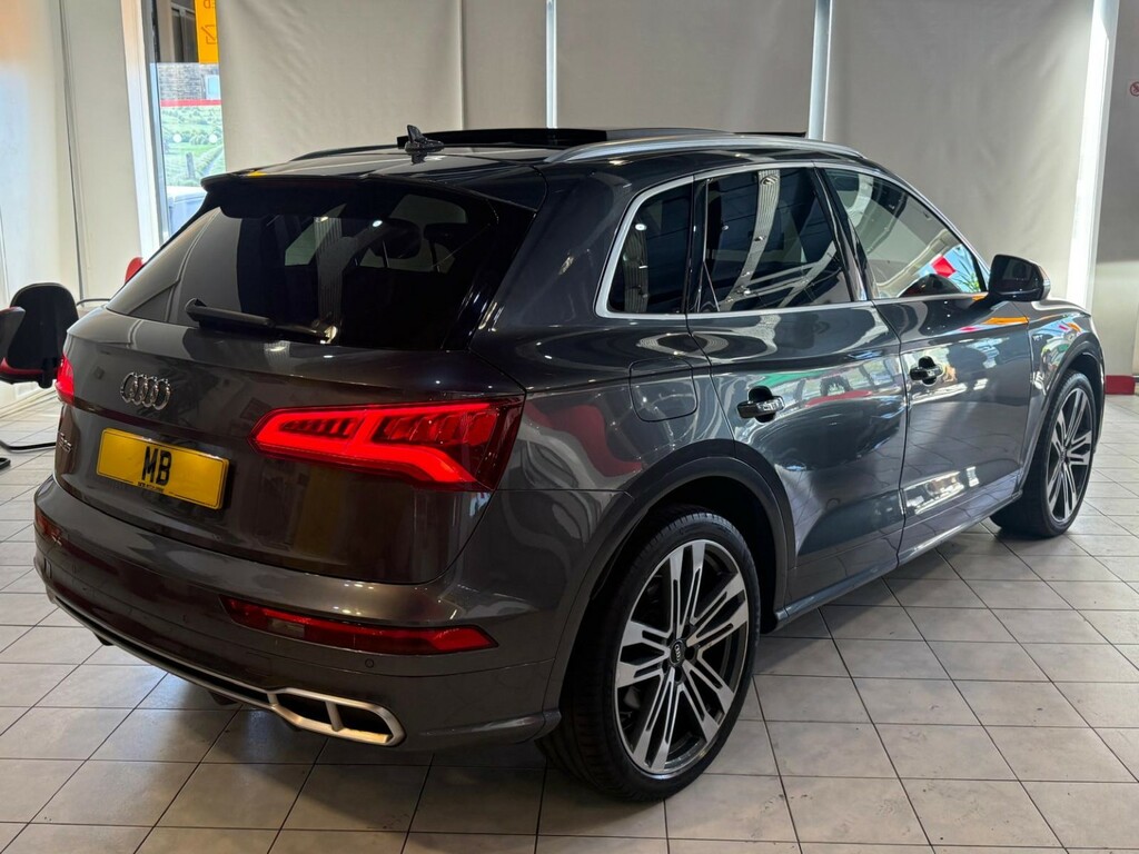 Audi SQ5 3.0 Sq5 Tdi #14