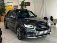 Audi SQ5 3.0 Sq5 Tdi #39