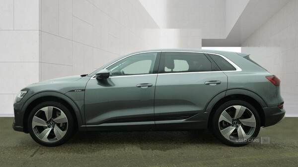 Audi E-tron 300Kw 55 Quattro 95Kwh S Line Grey #2