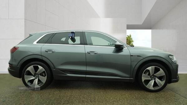 Audi E-tron 300Kw 55 Quattro 95Kwh S Line Grey #3