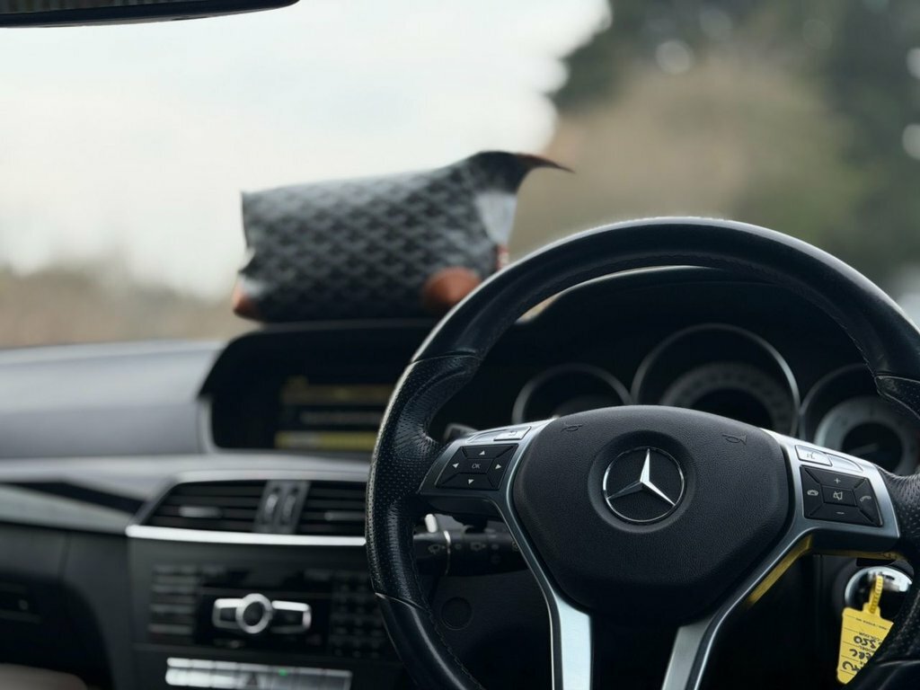 Mercedes-Benz C Class 6.2 C63 Amg Black #136