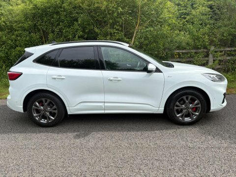 Ford Kuga 2020 20 St-line CA20XVO White #6