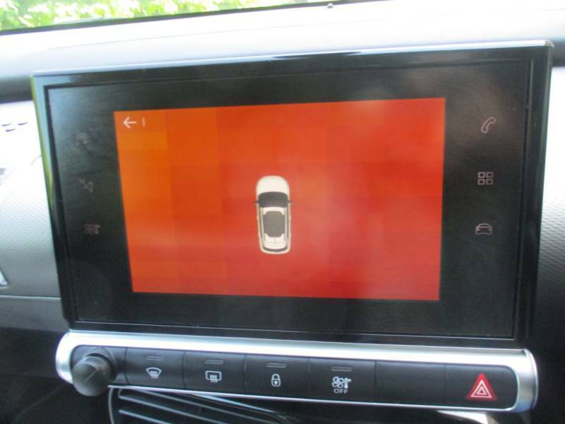 Citroen C4 Cactus Puretech Flair Ss Grey #30