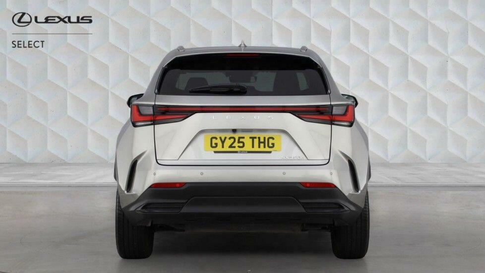 Lexus NX 350H 2.5 Premium E-cvt 2Wd Silver #5