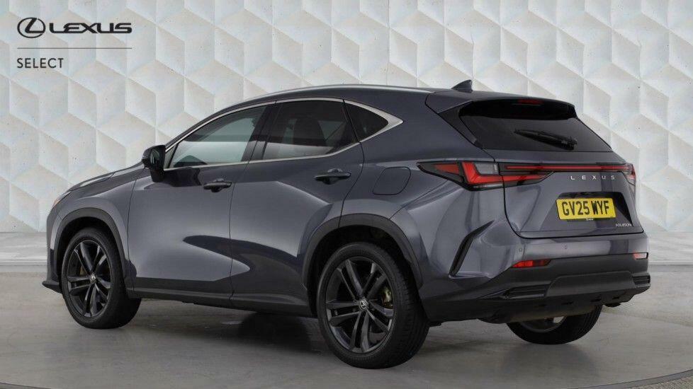 Lexus NX 450H 2.5 Premium Plus E-cvt Grey #2