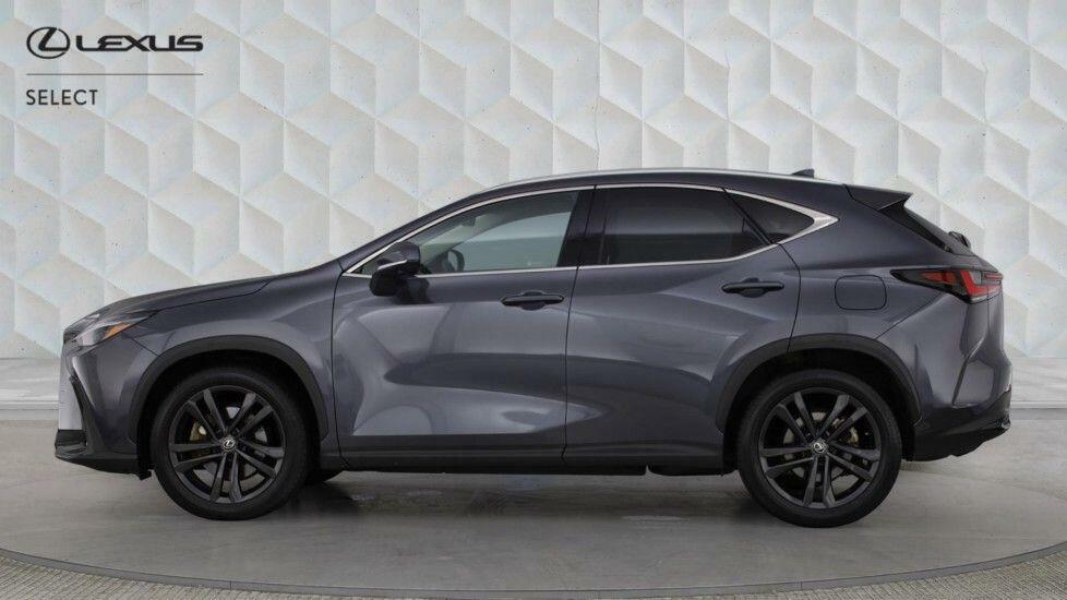 Lexus NX 450H 2.5 Premium Plus E-cvt Grey #3