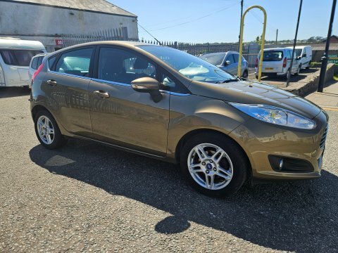 Ford Fiesta Zetec Brown