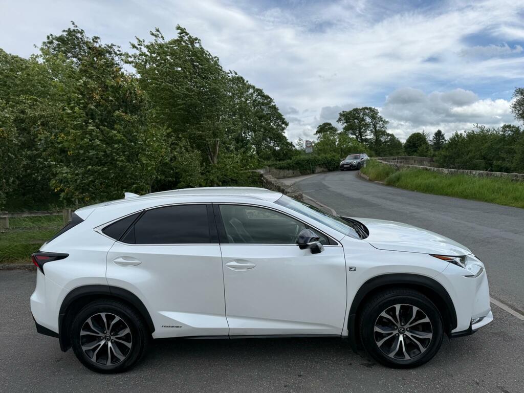 Lexus NX 2.5 F Sport E-cvt 4Wd Euro 6 Ss White #13