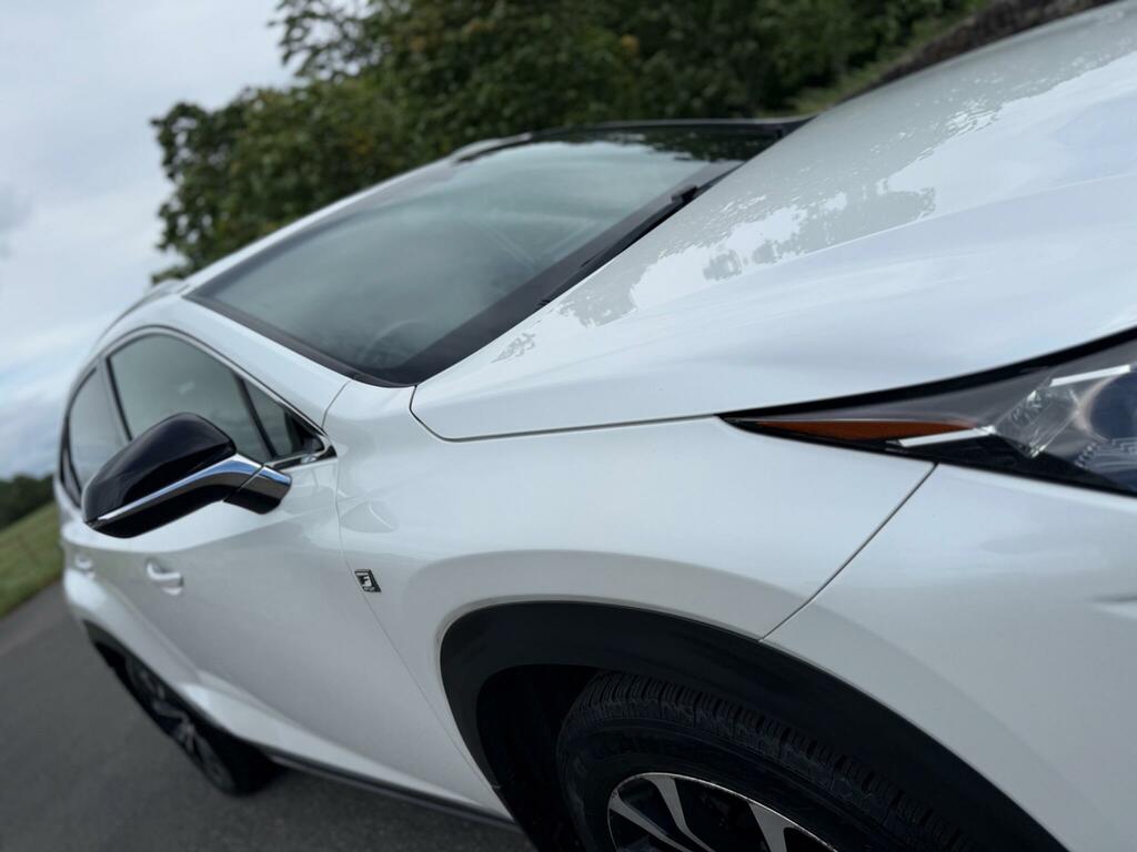 Lexus NX 2.5 F Sport E-cvt 4Wd Euro 6 Ss White #24