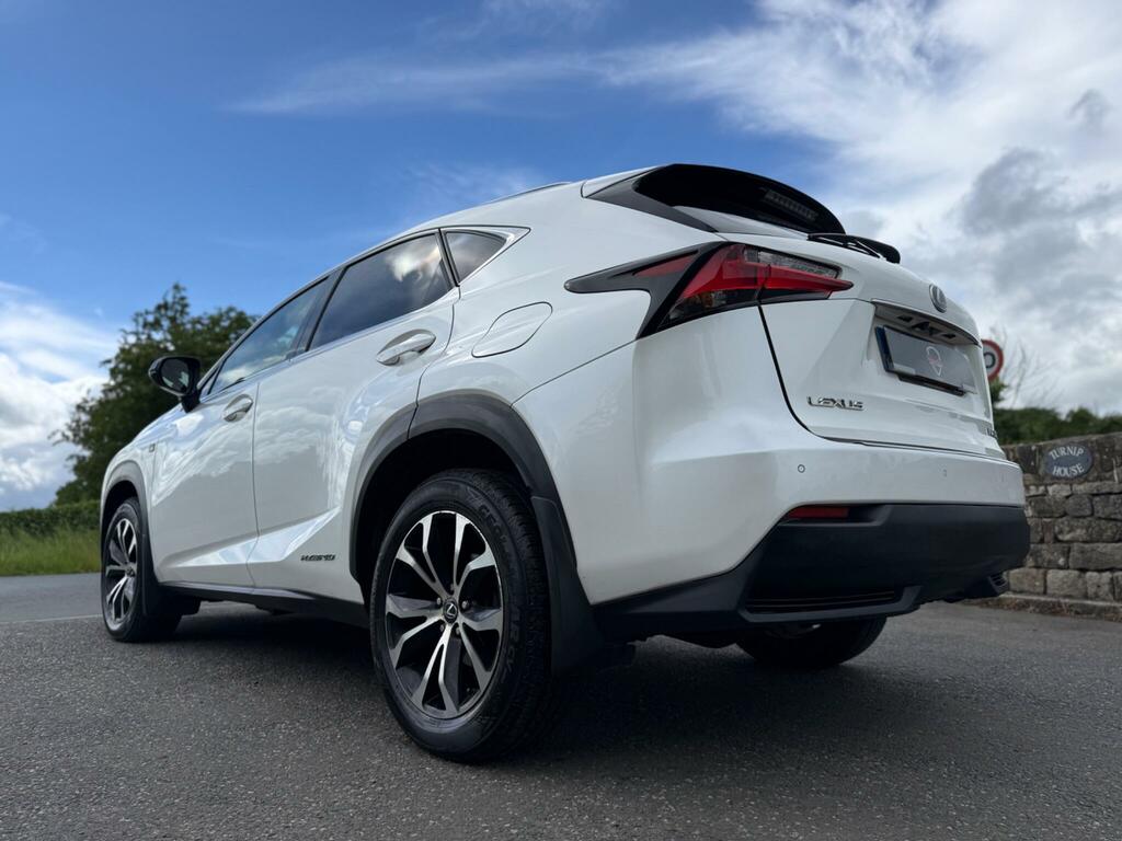 Lexus NX 2.5 F Sport E-cvt 4Wd Euro 6 Ss White #29