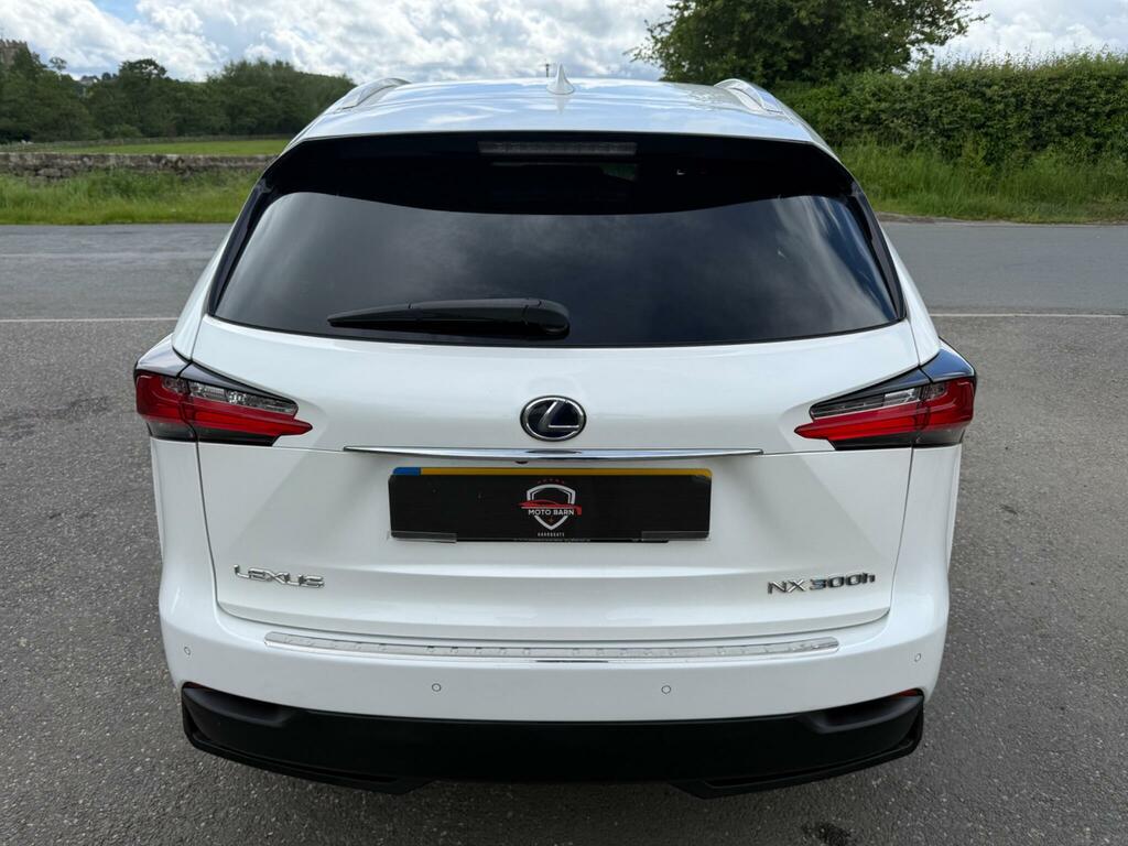 Lexus NX 2.5 F Sport E-cvt 4Wd Euro 6 Ss White #18