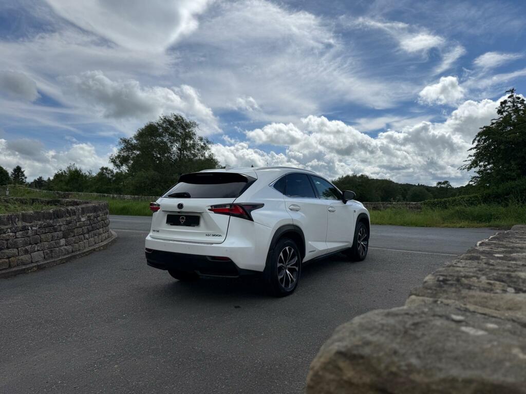 Lexus NX 2.5 F Sport E-cvt 4Wd Euro 6 Ss White #33
