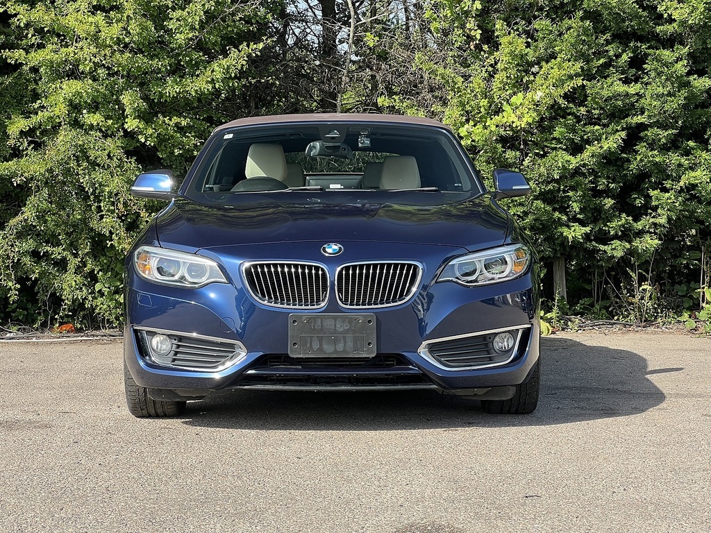 BMW 2 Series 220I Luxury Blue #4