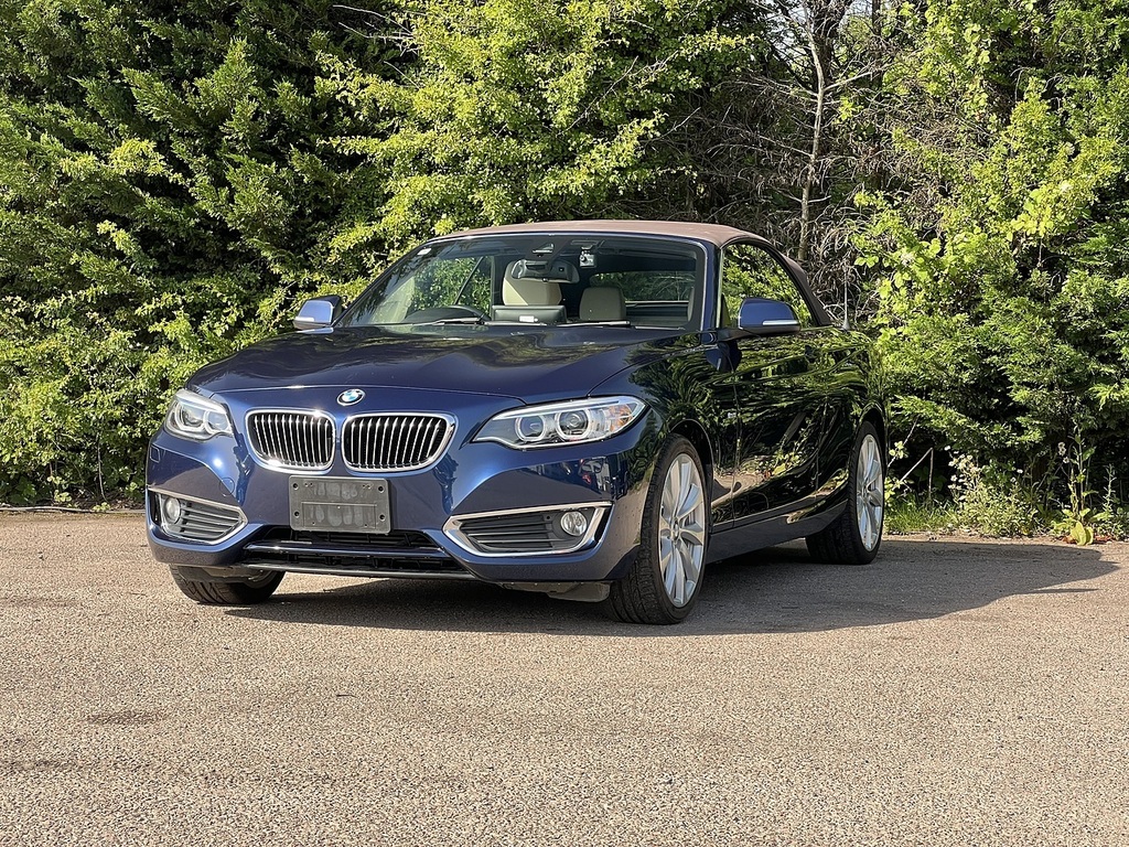BMW 2 Series 220I Luxury Blue #3