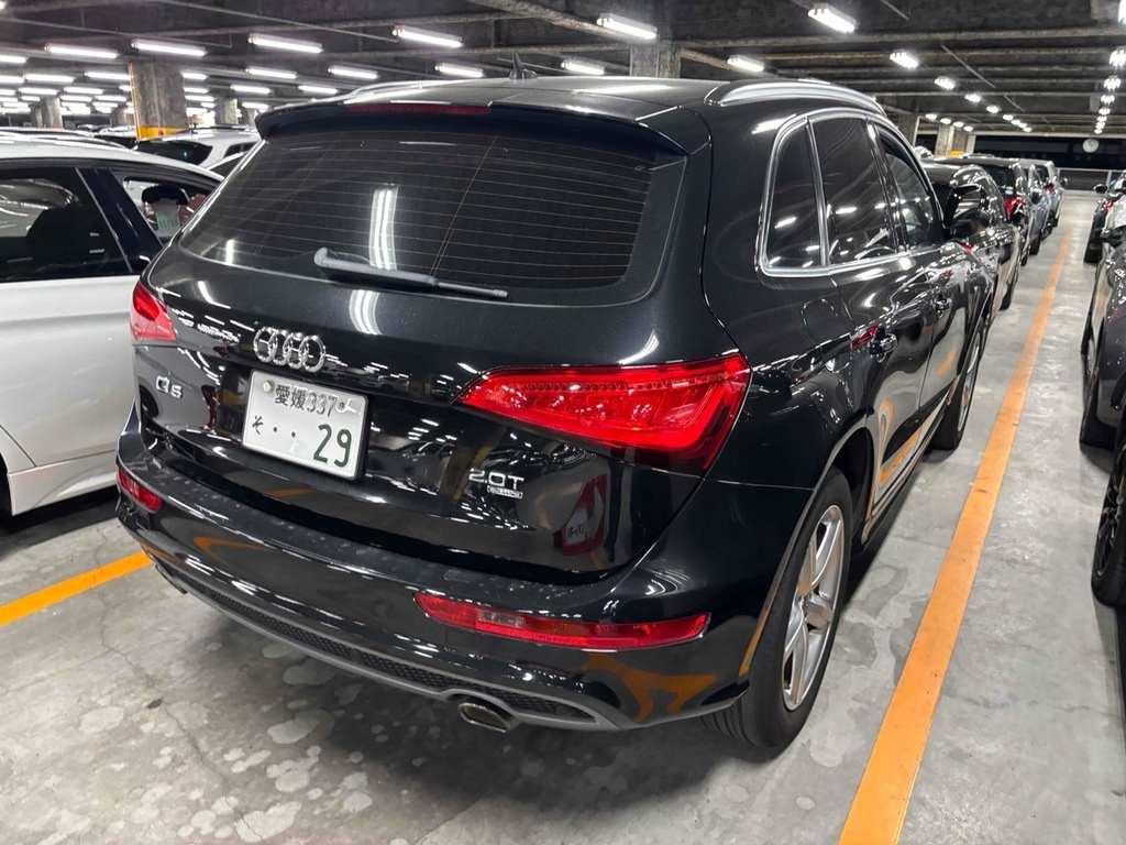 Audi Q5 Tfsi Quattro S Line Competition Plus #6