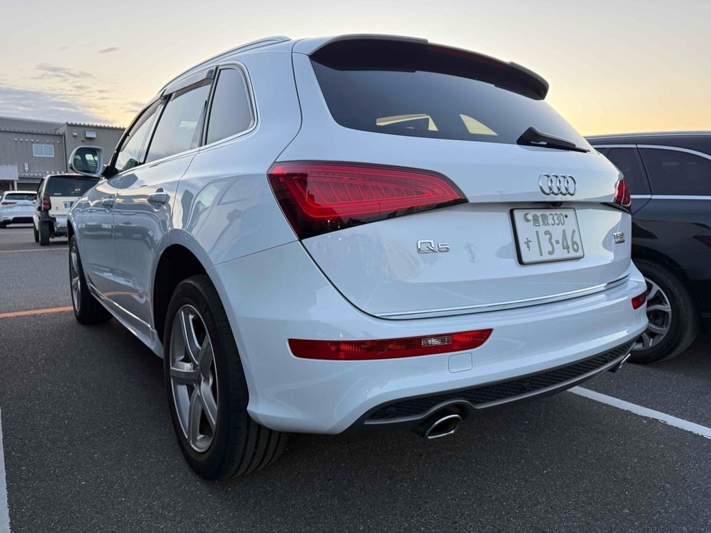 Audi Q5 Tfsi Quattro S Line Competition Plus #5