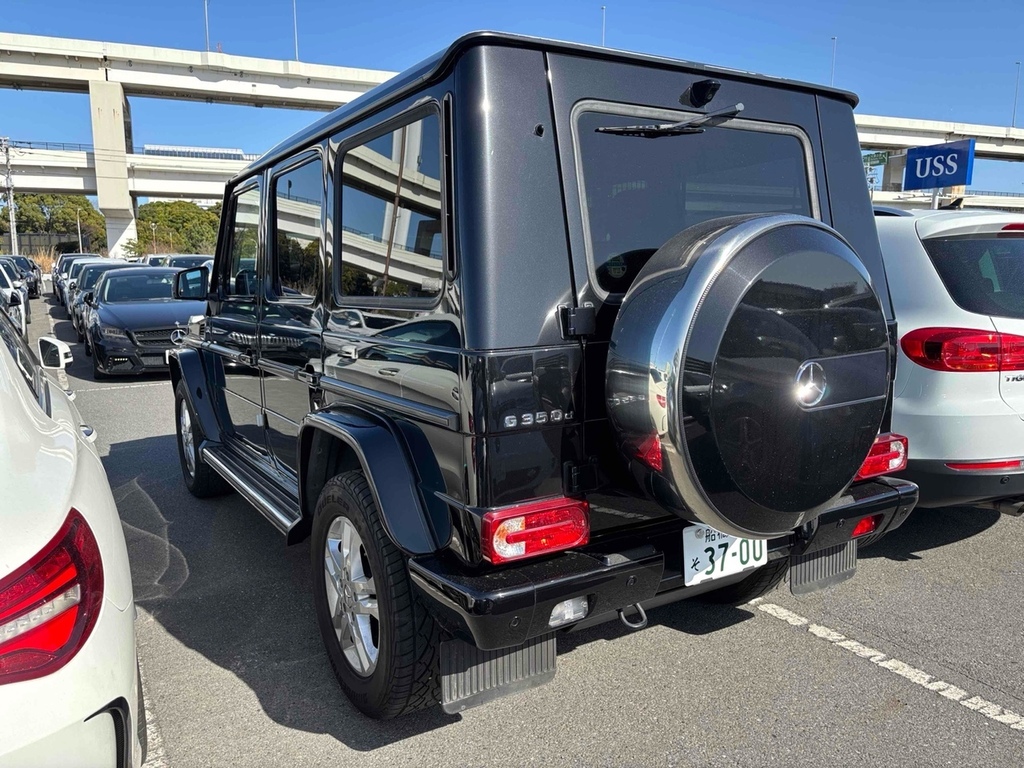Mercedes-Benz G Class G 350 D 4Matic  #3