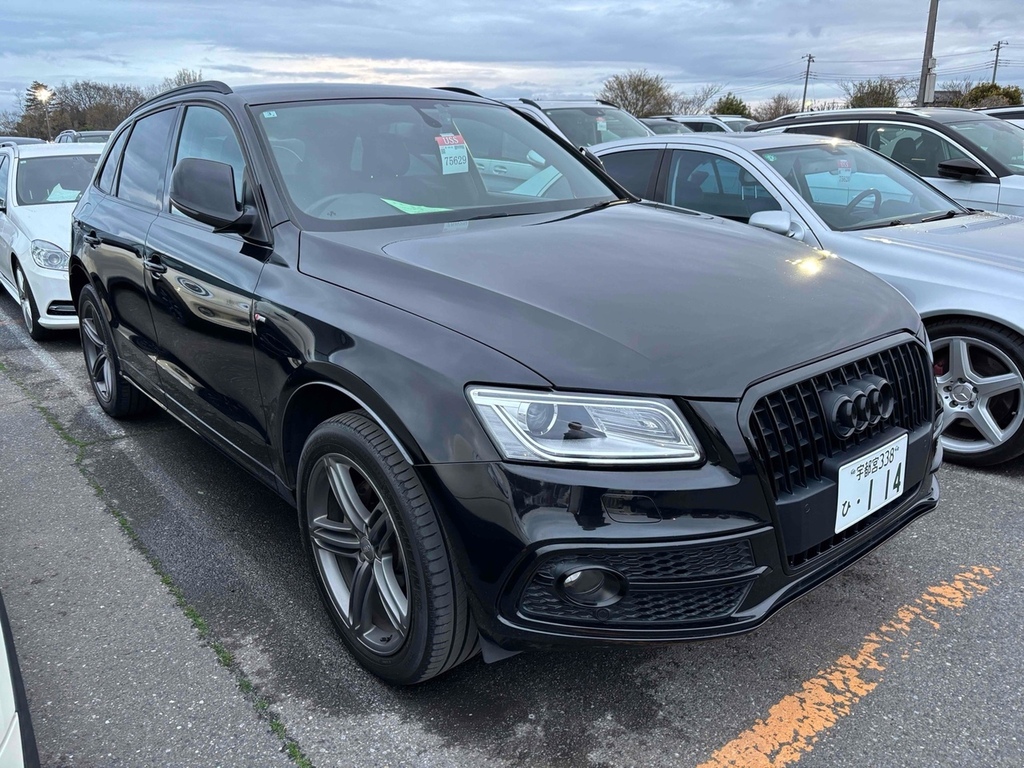 Audi Q5 Tfsi Quattro S Line Competition Plus  #2