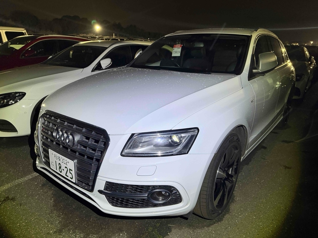 Audi Q5 Sq5 Tfsi Quattro  #3
