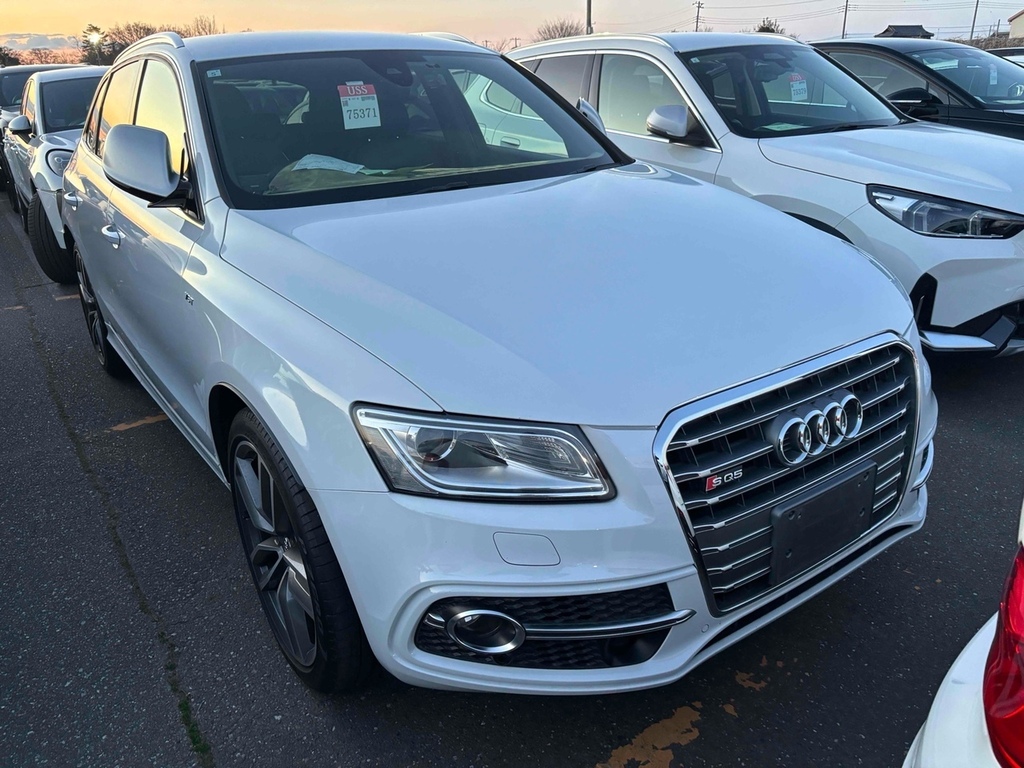 Audi Q5 Sq5 Tfsi Quattro #2