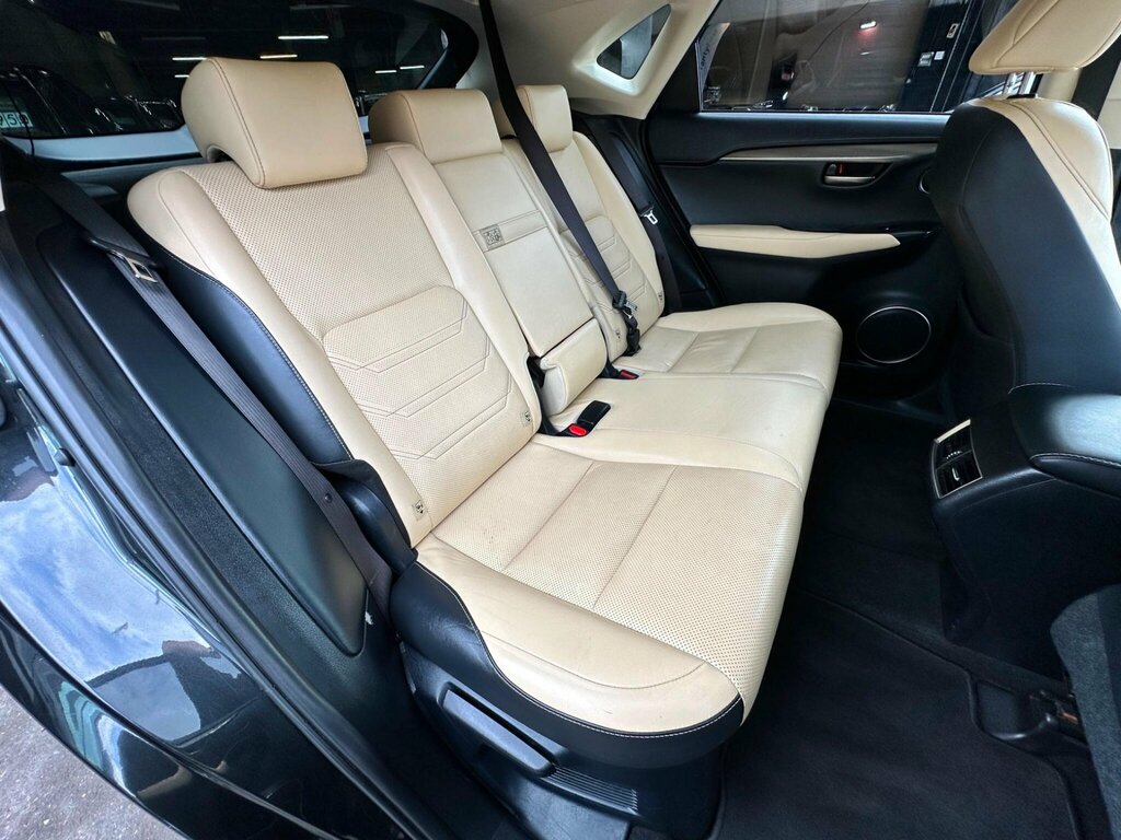 Lexus NX 2.5 300H Luxury E-cvt 4Wd Euro 6 Ss White #19