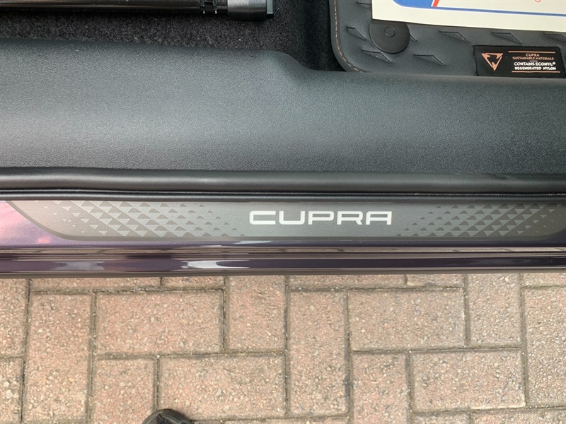 Cupra Terramar 1.5 Etsi V2 Suv Hybrid Dsg Euro 6 Ss YS75EXC Blue #28