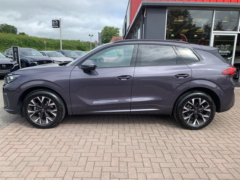 Cupra Terramar 1.5 Etsi V2 Suv Hybrid Dsg Euro 6 Ss YS75EXC Blue #8
