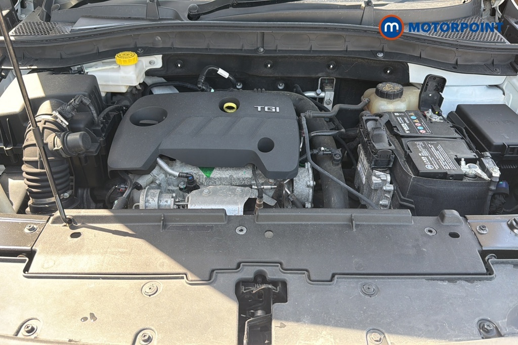 MG ZS Se Red #37