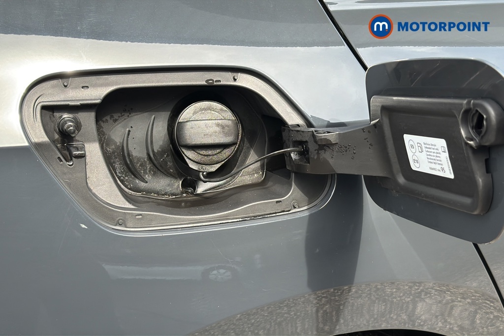 Volkswagen Golf 1.5 Style Tsi 129 Bhp Silver #32