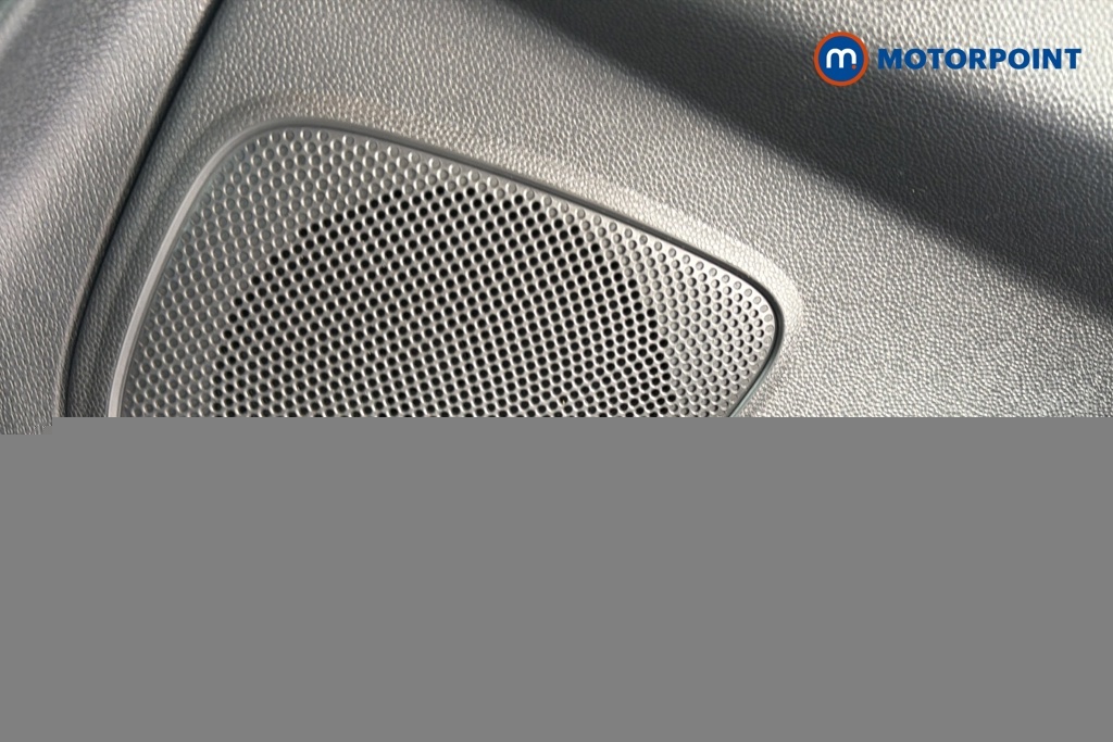 Ford Ecosport Active Silver #24