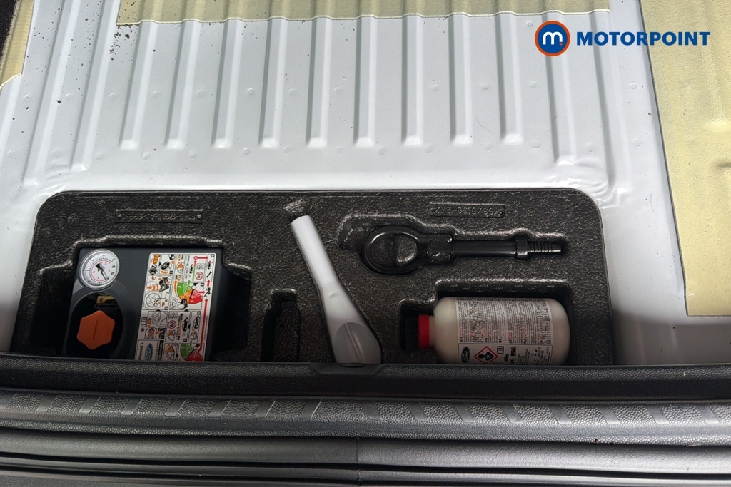 Ford Ecosport Active Silver #31
