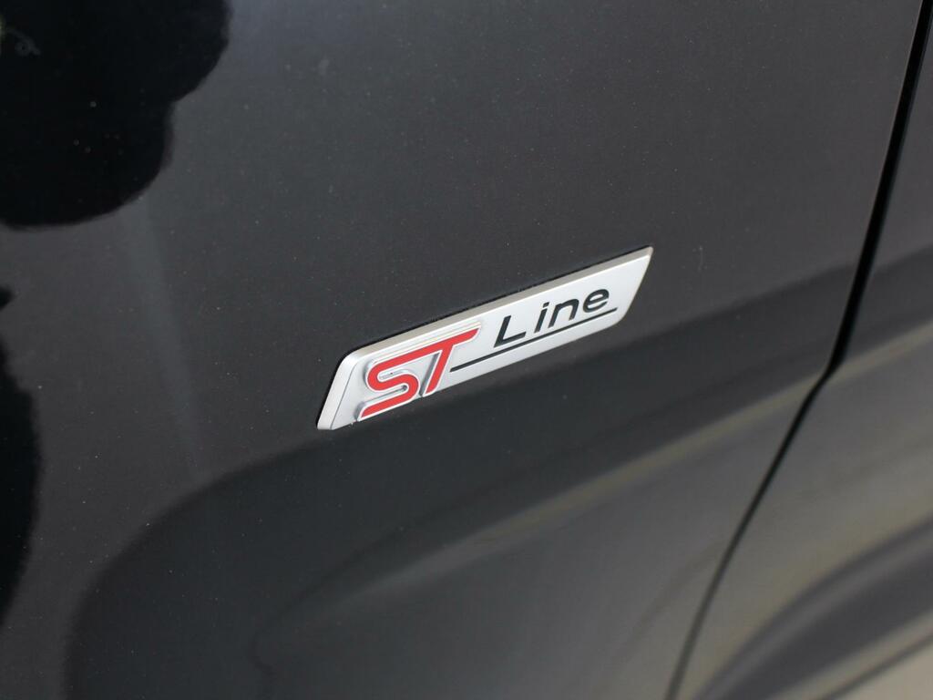 Ford Ecosport Titanium . Grey #31