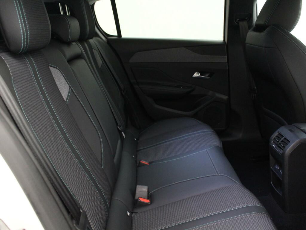 Peugeot 308 Active Premium Green #15