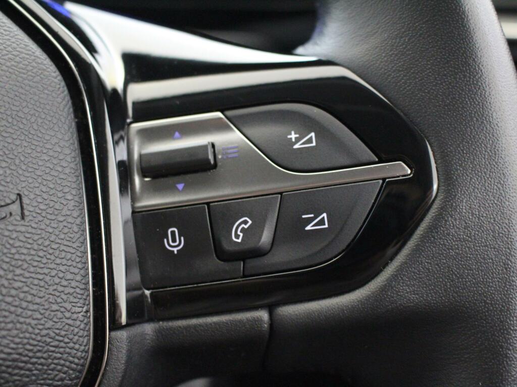 Peugeot 308 Active Premium Green #17