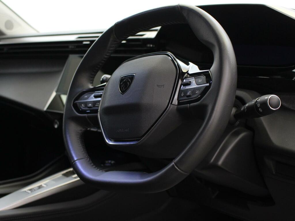 Peugeot 308 Active Premium Green #16