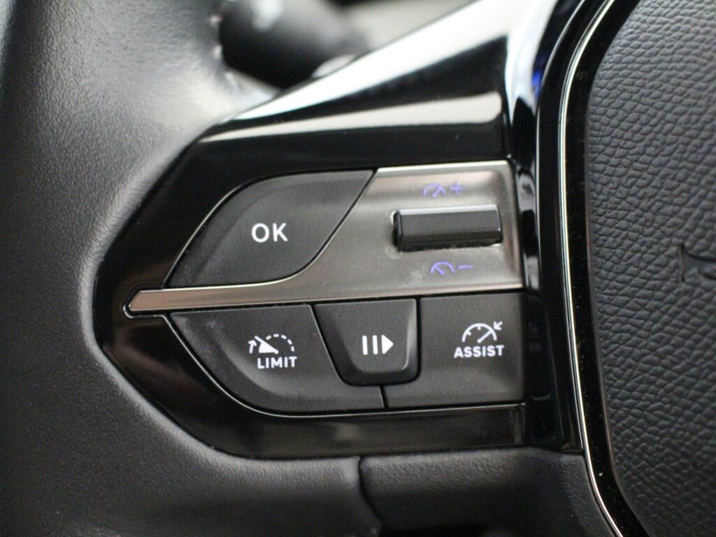 Peugeot 308 Active Premium Green #18