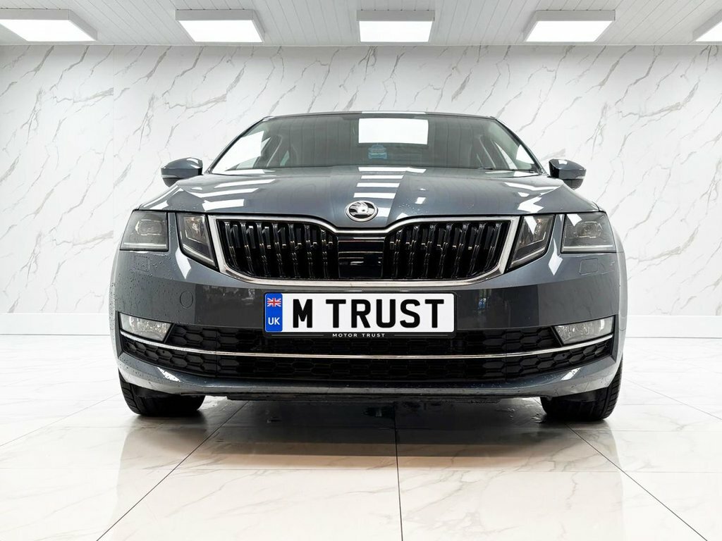 Skoda Octavia 2L Se L Grey #3