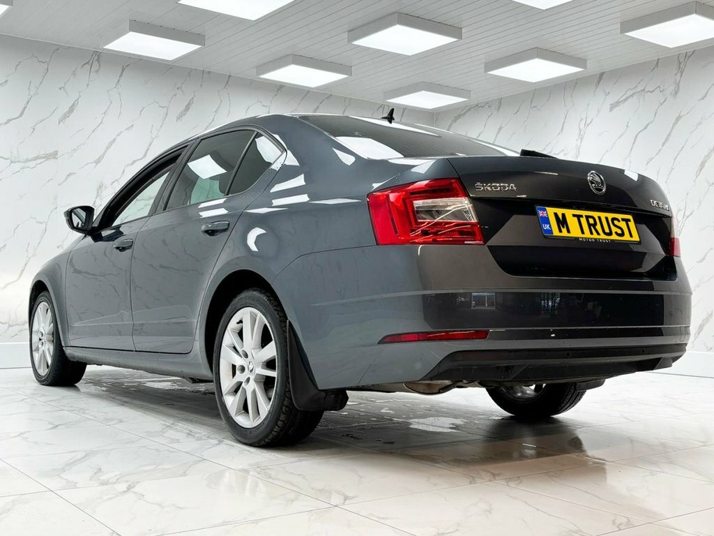 Skoda Octavia 2L Se L Grey #6