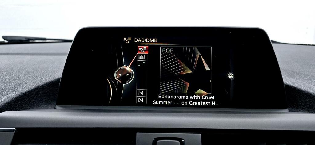 BMW 1 Series 120D Sport U5382 Grey #38