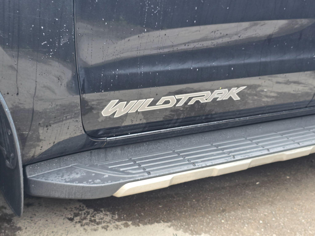 Ford Ranger 2.2L Limited 1 Grey #19