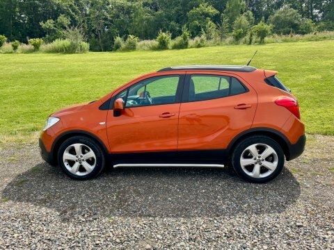 Vauxhall Mokka Tech Line S Orange #6